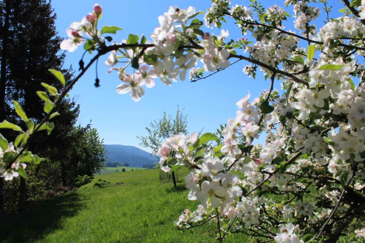Moderne Ferienwohnung Mit Eigenem Garten Und Traumhaften Blick Wilhelmsthal Buitenkant foto